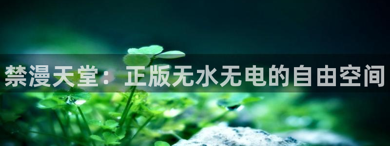 age漫画网