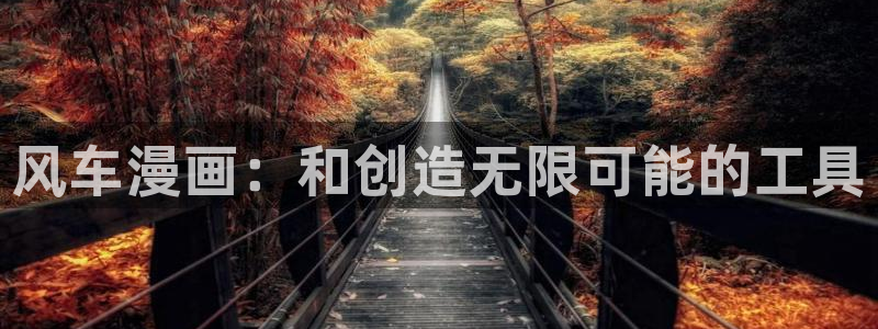 age动漫网下载：风车漫画：和创造无限可能的工具