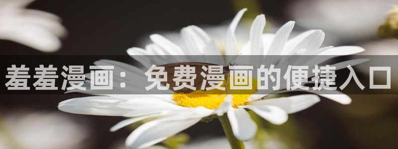 age动漫网：羞羞漫画：免费漫画的便捷入口