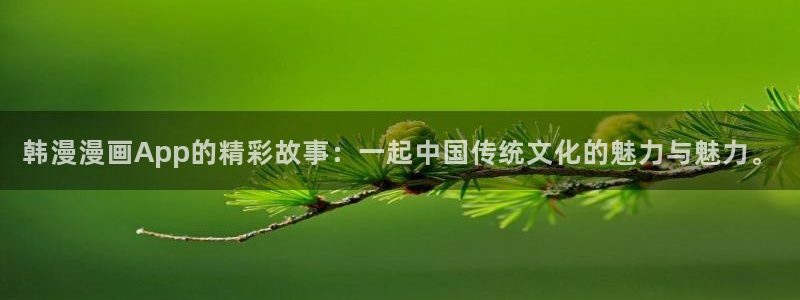 age动漫正版网：韩漫漫画App的精彩故事：一起中国传统文化的魅力与魅力。
