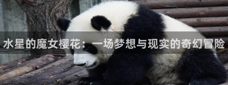 age动漫官网入口老版本：水星的魔女樱花：一场梦想与现实的奇幻冒险