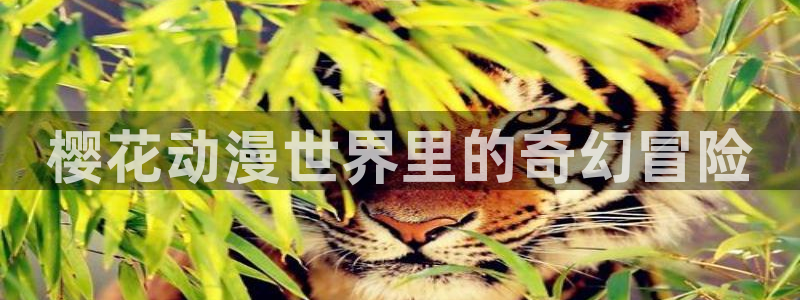 stagenehind韩漫免费观看：樱花动漫世界里的奇幻冒险