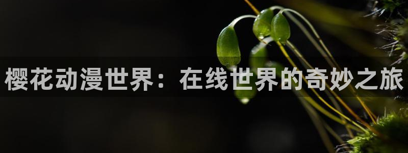 age樱花动漫：樱花动漫世界：在线世界的奇妙之旅