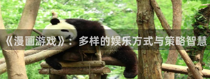 age动漫正版网：《漫画游戏》：多样的娱乐方式与策略智慧