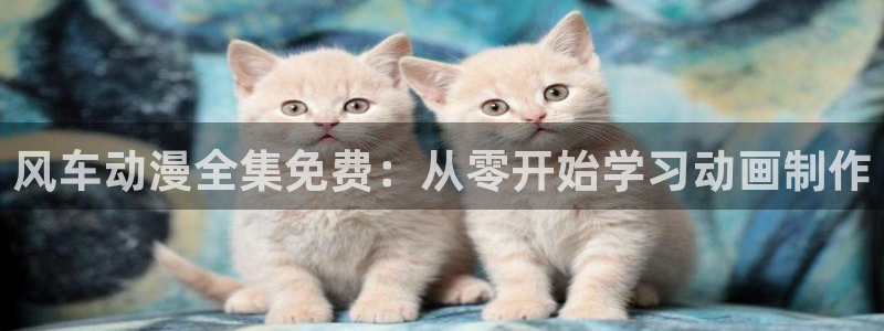 age动漫下载网：风车动漫全集免费：从零开始学习动画制作