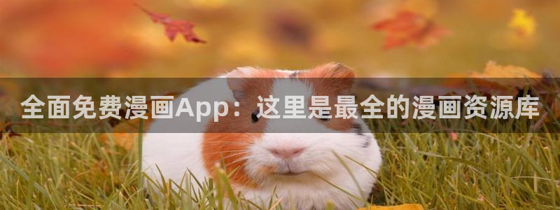 age动漫网下载