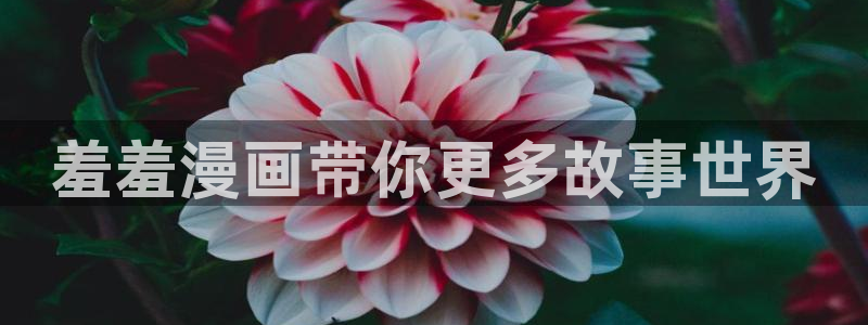managereader漫画官网入口