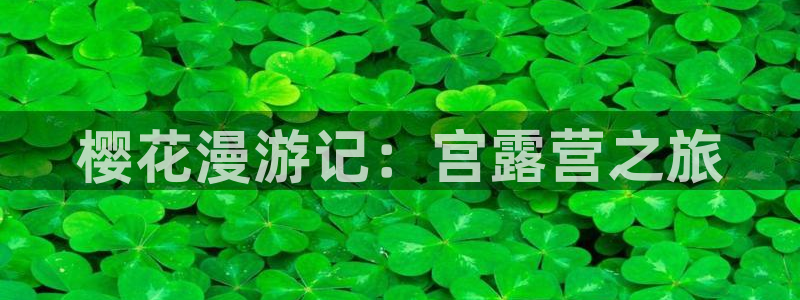 age动漫网官网入口