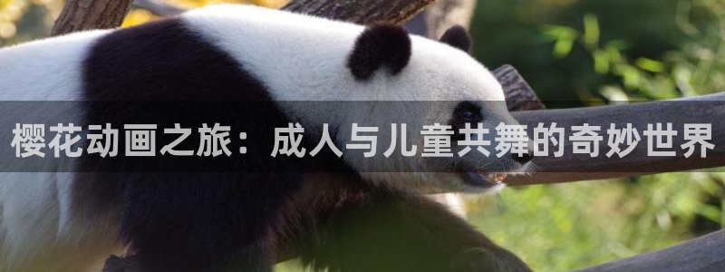 age动漫正版网：樱花动画之旅：成人与儿童共舞的奇妙世界