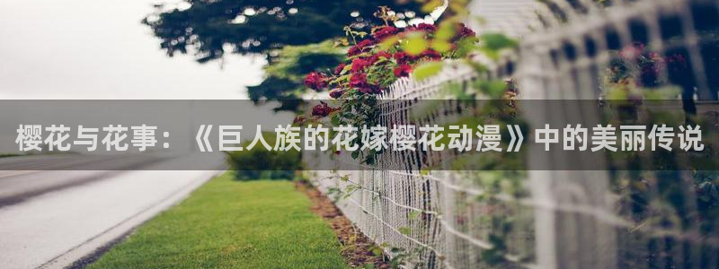 age动漫网上看：樱花与花事：《巨人族的花嫁樱花动漫》中的美丽传说