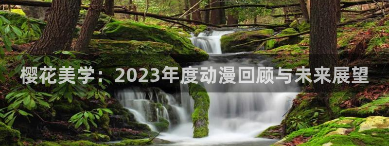 age专注动漫的门户网站：樱花美学：2023年度动漫回顾与未来展望
